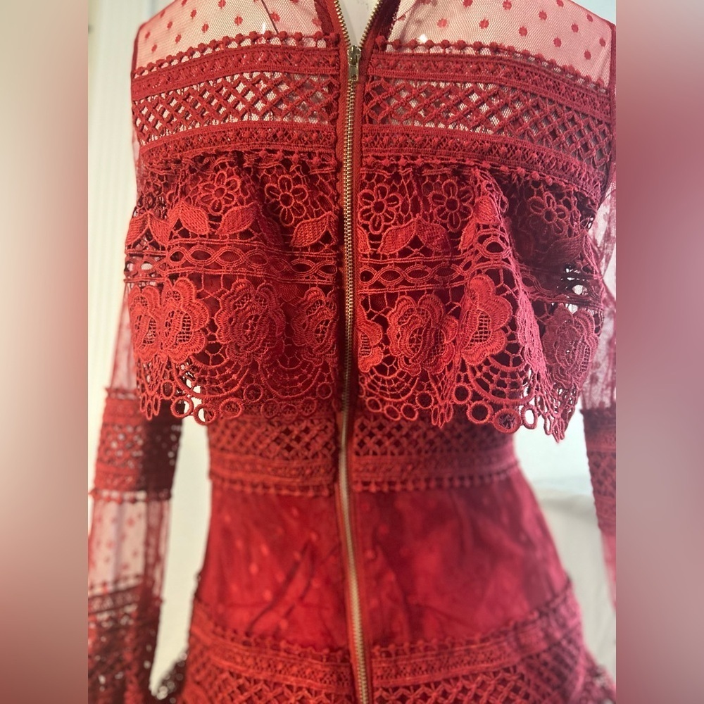 L & F~NWT~Lovely~Tiered Ruffle~Sheer Netting~Embroidered Lace~Mini Dress~Size S - Picture 15 of 15